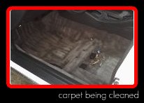 carpet being cleaned by Fifty Dollar Detail